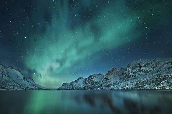 Polar light (Aurora Borealis) at Ersfjordbotn - Norway, Troms, Kvaloya, Ersfjordbotn
