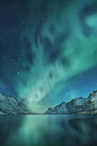 Polar light (Aurora Borealis) at Ersfjordbotn - Norway, Troms, Kvaloya, Ersfjordbotn