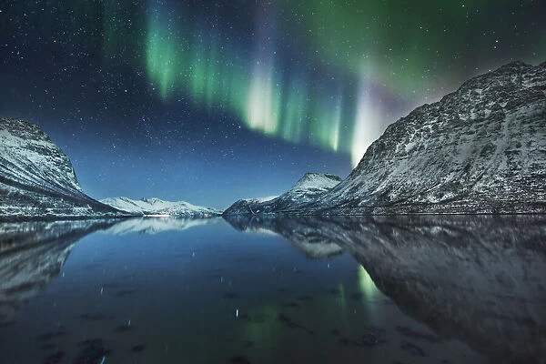 Polar light (Aurora Borealis) over Grotfjord - Norway, Troms, Kvaloya