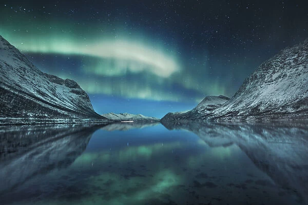 Polar light (Aurora Borealis) over Grotfjord - Norway, Troms, Kvaloya