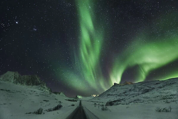Polar light (Aurora Borealis) on Senja - Norway, Troms, Senja, Mefjordbotn, east of