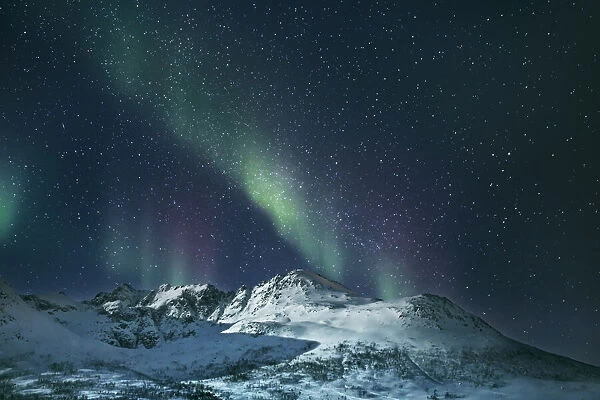 Polar light (Aurora Borealis) over snowcovered mountains on Kvaloya - Norway, Troms