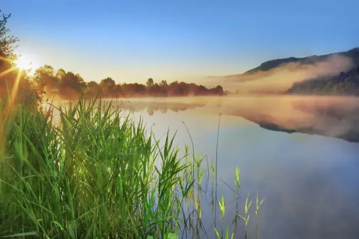 Framed Print : Pond with fog at Rauschelesee - Austria, Carinthia, Klagenfurt, Keutschacher Seental Framed Print : Pond with fog at Rauschelesee - Austria, Carinthia, Klagenfurt, Keutschacher Seental