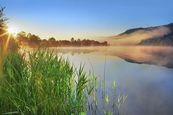 Pond with fog at Rauschelesee - Austria, Carinthia, Klagenfurt, Keutschacher Seental
