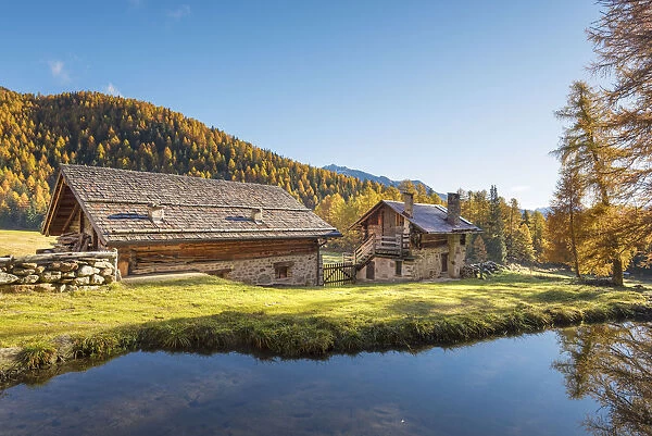Pond near Lake Covel Europe, Italy, Trentino region, Trento district, Pejo valley