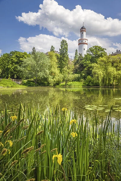 Pond in the palace gardens of Bad Homburg vor der Hohe, Taunus, Hesse, Germany