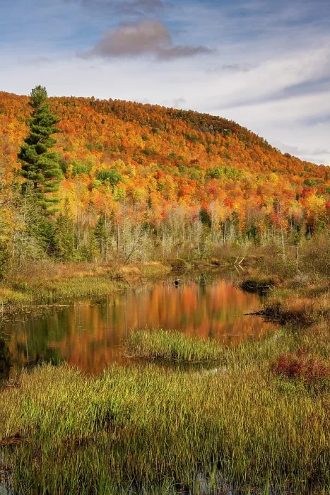 Framed Print : Pond reflection, Adirondack Mountains, New York, USA