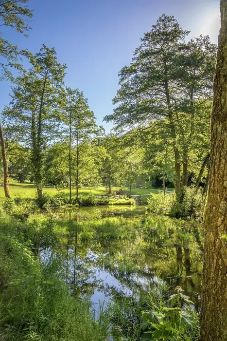 Framed Print : Pond in the spa gardens of Koenigstein, Taunus, Hesse, Germany