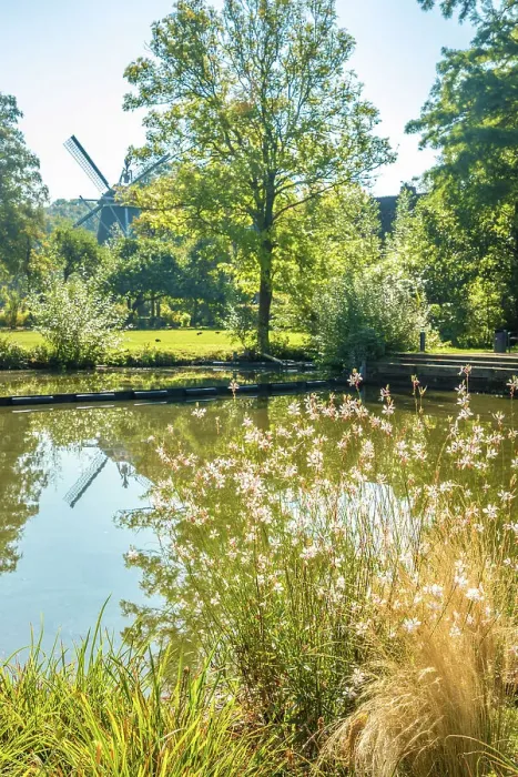 Framed Print : Pond in the spa park of Bad Zwischenahn, Oldenburger Land, Lower Saxony, Germany Framed Print : Pond in the spa park of Bad Zwischenahn, Oldenburger Land, Lower Saxony, Germany