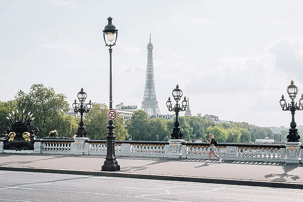 Pont Alexander III and Eiffel Tower, Paris, Ile de France, France