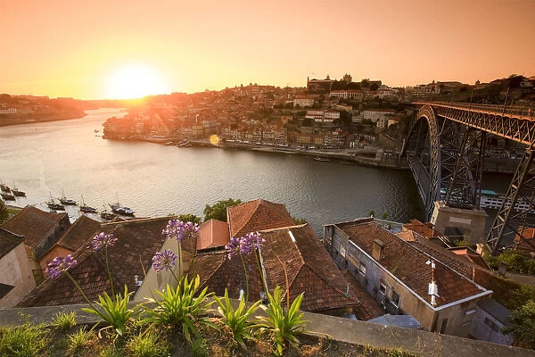 Ponte D. Luis I and Douro river, Porto (UNESCO World Heritage), Portugal