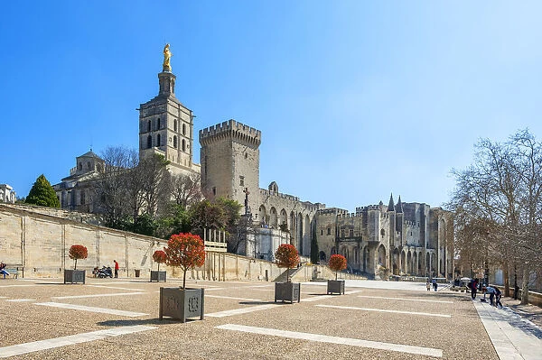 Popes palace with church Notre-Dame des Doms, Avignon, Vaucluse, Provence-Alpes-Cote d'Azur, France