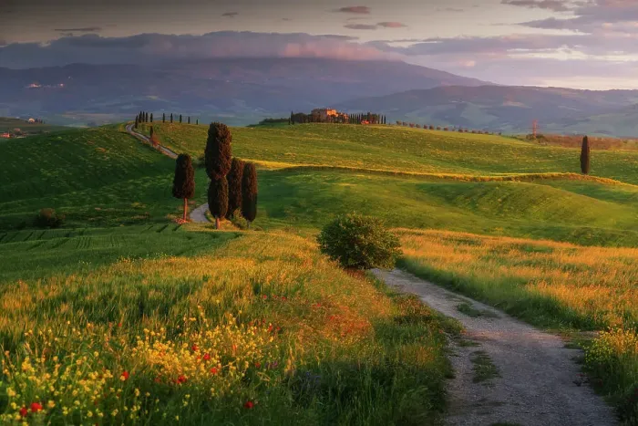 Framed Print : Poppies and canola flowers with the Podere Terrapille (Gladiator House) in the background. Val d'Orcia, Tuscany, Italy Framed Print : Poppies and canola flowers with the Podere Terrapille (Gladiator House) in the background. Val d'Orcia, Tuscany, Italy