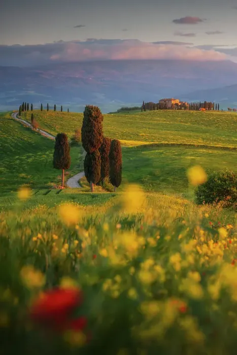 Framed Print : Poppies and canola flowers with the Podere Terrapille (Gladiator House) in the background. Val d'Orcia, Tuscany, Italy Framed Print : Poppies and canola flowers with the Podere Terrapille (Gladiator House) in the background. Val d'Orcia, Tuscany, Italy