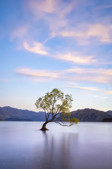 Framed Print : Popular lone tree in Roys Bay on Wanaka Lake against sky at sunrise, Wanaka Framed Print : Popular lone tree in Roys Bay on Wanaka Lake against sky at sunrise, Wanaka