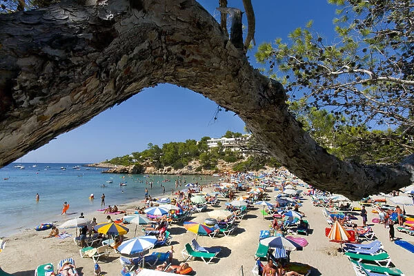 Portinatx, Ibiza, the Balearic Islands, Spain