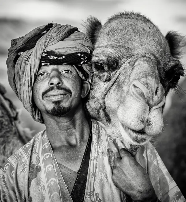 Framed Print : Portrait of a Berber man wearing traditional headscarf (Cheche), with his camel, Tinerhir, Morocco Framed Print : Portrait of a Berber man wearing traditional headscarf (Cheche), with his camel, Tinerhir, Morocco