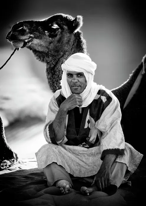 Framed Print : Portrait of a Berber man wearing traditional headscarf (Cheche), with his camel, Erg Chebbi, Sahara Desert, Merzouga Morocco Framed Print : Portrait of a Berber man wearing traditional headscarf (Cheche), with his camel, Erg Chebbi, Sahara Desert, Merzouga Morocco