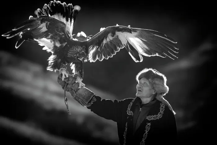 Framed Print : Portrait of a Kazakh Eagle Hunter with his golden eagle, Western Mongolia, Asia Framed Print : Portrait of a Kazakh Eagle Hunter with his golden eagle, Western Mongolia, Asia