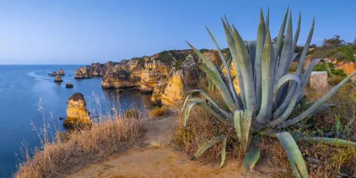 Framed Print : Portugal, Algarve, Lagos, Dona Ana Beach (Praia Dona Ana), Agave plant Framed Print : Portugal, Algarve, Lagos, Dona Ana Beach (Praia Dona Ana), Agave plant