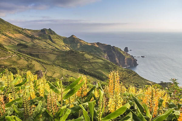 Portugal, Azores archipelago, Flores island, Faja Grande
