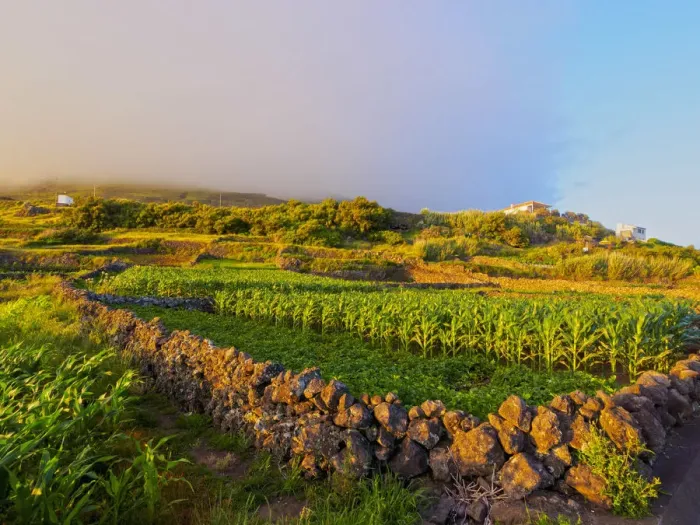 Framed Print : Portugal, Azores, Corvo, Fields near Vila do Corvo