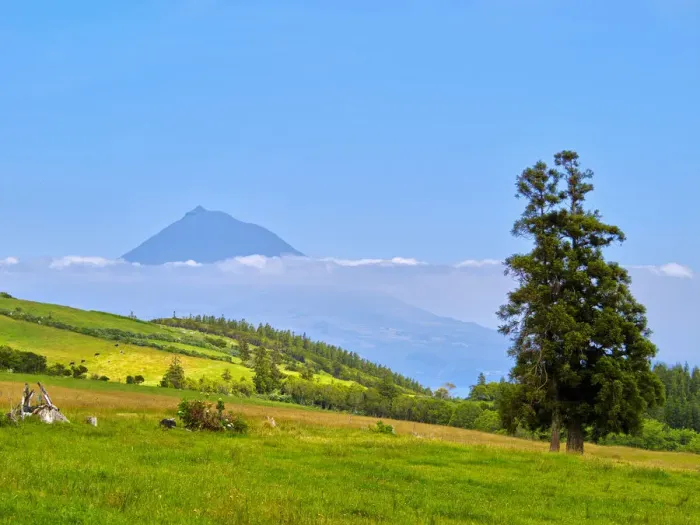 Framed Print : Portugal, Azores, Faial, Landscape of central part of Faial Island with Mount Pico Framed Print : Portugal, Azores, Faial, Landscape of central part of Faial Island with Mount Pico