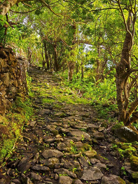 Portugal, Azores, Flores, Old Trail between Mosteiro and Lajedo