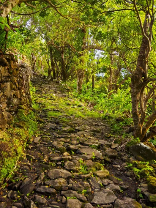 Framed Print : Portugal, Azores, Flores, Old Trail between Mosteiro and Lajedo Framed Print : Portugal, Azores, Flores, Old Trail between Mosteiro and Lajedo