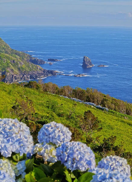 Portugal, Azores, Flores, View of the coast near Lajedo village