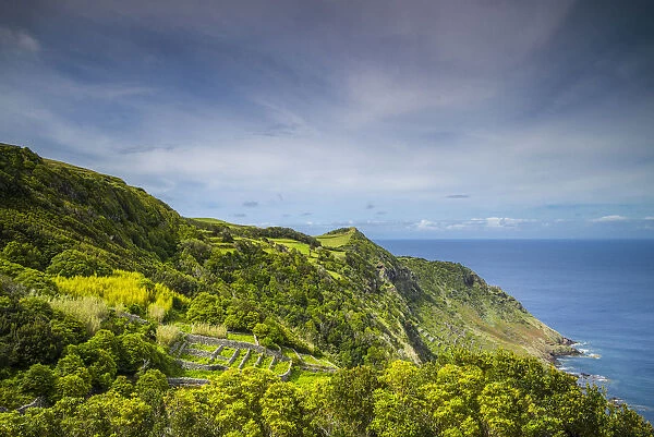 Portugal, Azores, Santa Maria Island, Sao Lourenco of volcanic rock vineyards