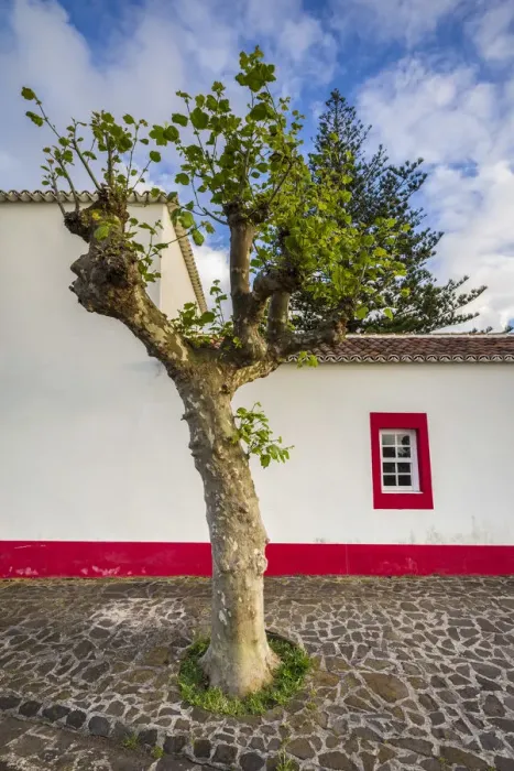 Framed Print : Portugal, Azores, Santa Maria Island, Anjos, place where Christopher Columbus made Framed Print : Portugal, Azores, Santa Maria Island, Anjos, place where Christopher Columbus made