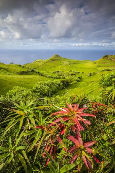 Framed Print : Portugal, Azores, Santa Maria Island, Lagoinhas, landscape Framed Print : Portugal, Azores, Santa Maria Island, Lagoinhas, landscape