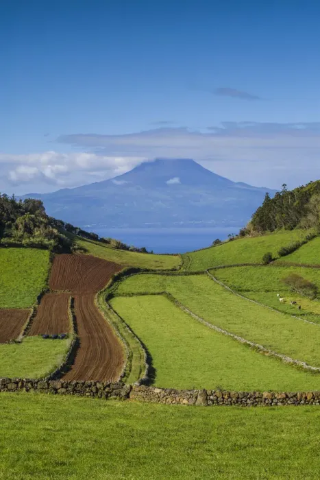 Framed Print : Portugal, Azores, Sao Jorge Island, Rosais of fields and the Pico Volcano Framed Print : Portugal, Azores, Sao Jorge Island, Rosais of fields and the Pico Volcano