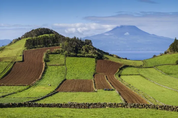 Framed Print : Portugal, Azores, Sao Jorge Island, Rosais of fields and the Pico Volcano