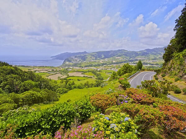 Portugal, Azores, Sao Miguel, Nordeste, View of the Eastern Coast with Hortensias