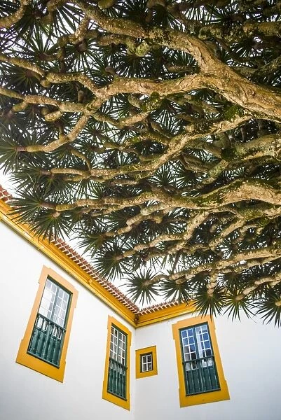 Portugal, Azores, Terceira Island, Angra do Heroismo, Palacio Capitaes Generais palace