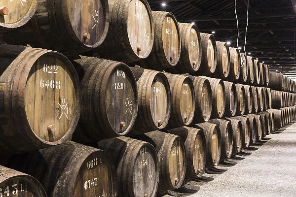 Portugal, Douro Litoral, Porto. Barrels in the wine cellar of Taylors Port Lodge