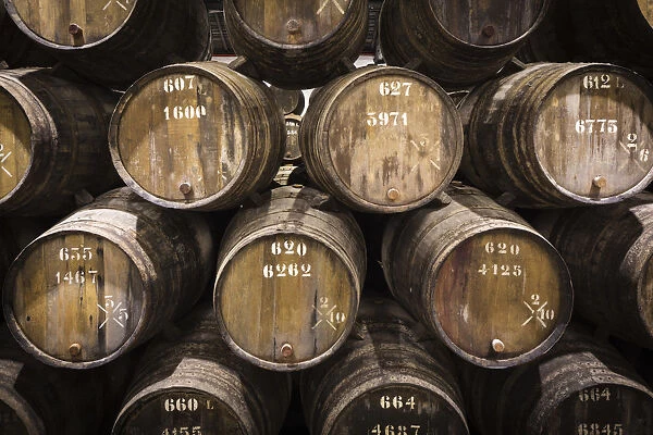 Portugal, Douro Litoral, Porto. Barrels in the wine cellar of Taylors Port Lodge