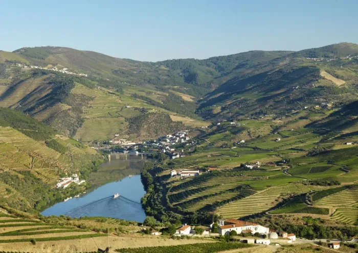 Framed Print : Portugal, Douro, Peso da ReguaTerraced vineyards