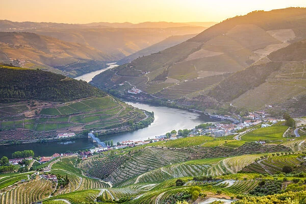 Portugal, Douro river at sunset, Terraced vineyards