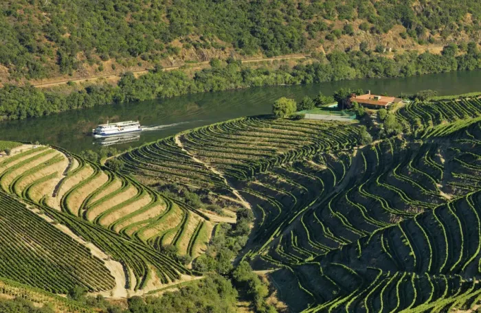 Framed Print : Portugal, Douro, Terraced vineyards and boat