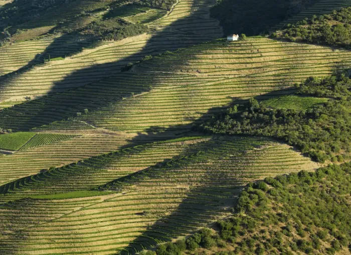 Framed Print : Portugal, Douro, Terraced vineyards and house Framed Print : Portugal, Douro, Terraced vineyards and house
