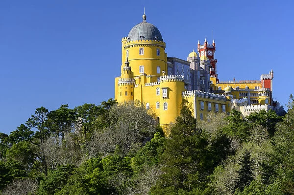 Portugal, Lisbon, Sintra, Park and National Palace of Pena, Castle
