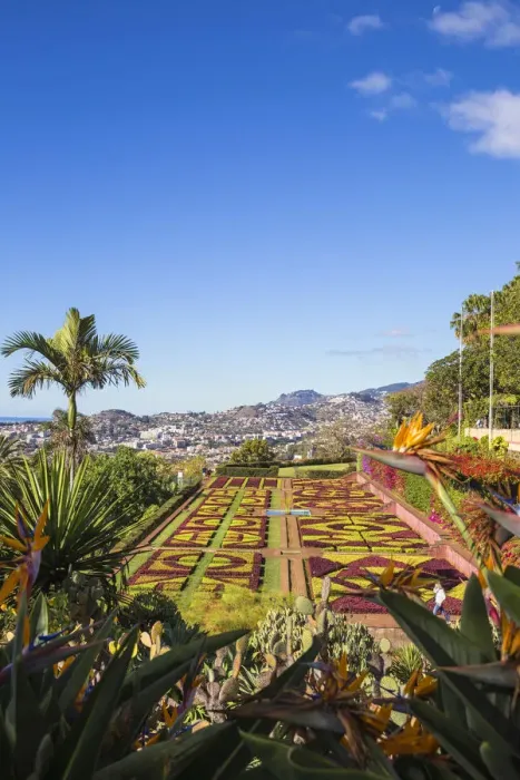 Framed Print : Portugal, Madeira, Funchal