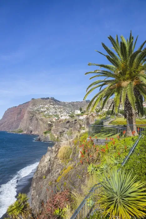 Framed Print : Portugal, Madeira, Funchal, Camara de Lobos, looking towards the cliffs of Cabo Girao Framed Print : Portugal, Madeira, Funchal, Camara de Lobos, looking towards the cliffs of Cabo Girao