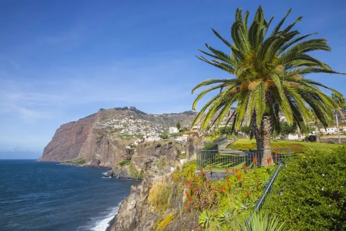 Framed Print : Portugal, Madeira, Funchal, Camara de Lobos, looking towards the cliffs of Cabo Girao Framed Print : Portugal, Madeira, Funchal, Camara de Lobos, looking towards the cliffs of Cabo Girao