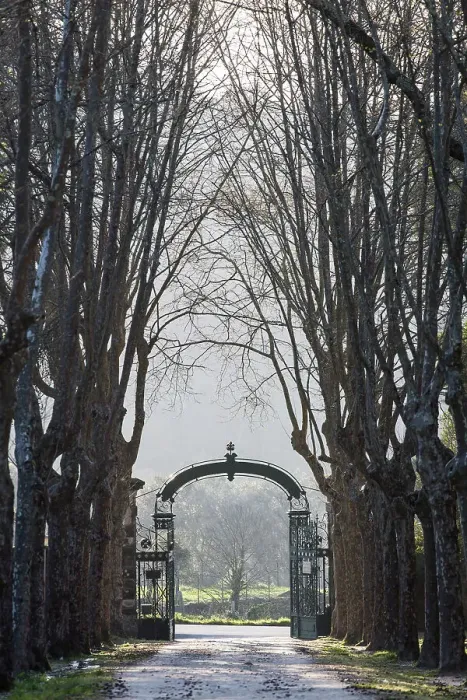 Framed Print : Portugal, Oporto, Forjaes, Quinta de Curvos, The central tree-lined road in the property Framed Print : Portugal, Oporto, Forjaes, Quinta de Curvos, The central tree-lined road in the property