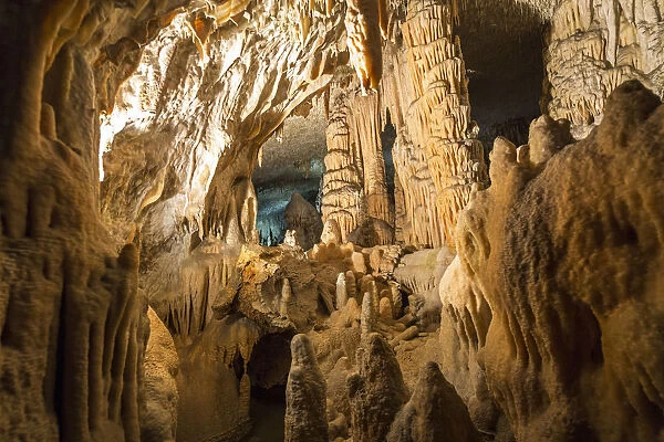 Postojna Cave, Southwestern Slovenia, Europe