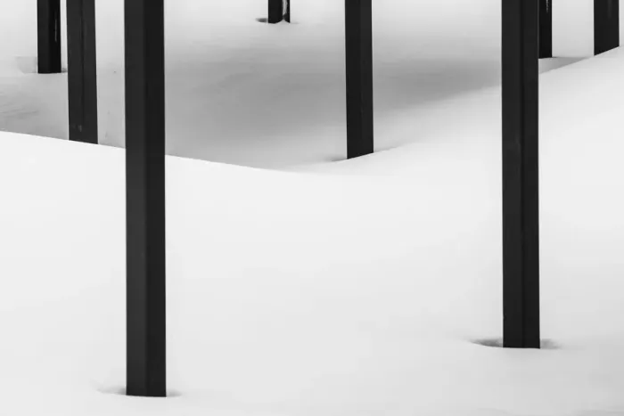 Framed Print : Posts in Snow, Jasper National Park, Alberta, Canada Framed Print : Posts in Snow, Jasper National Park, Alberta, Canada